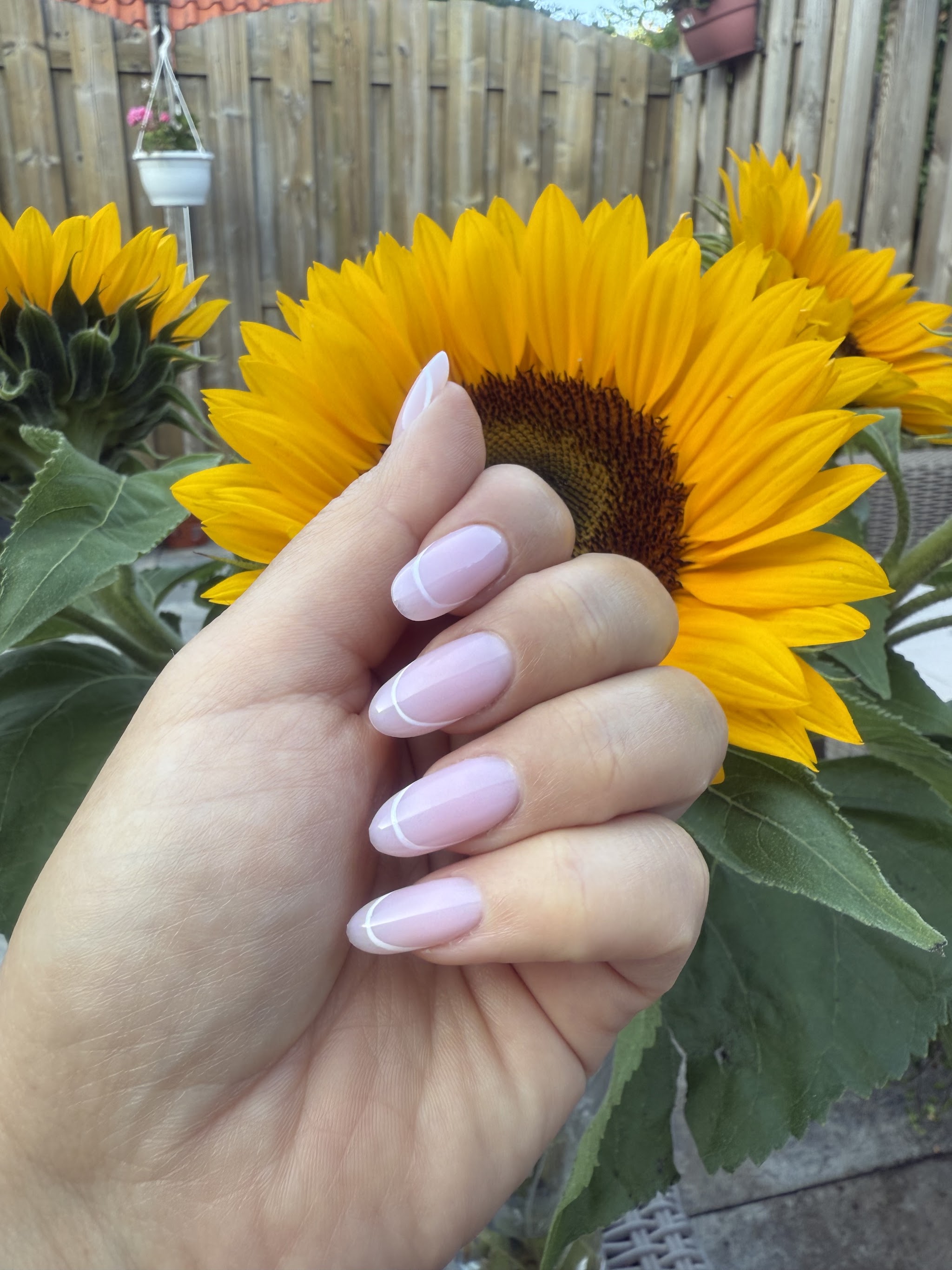 Lila French nagels bij een zonnebloem