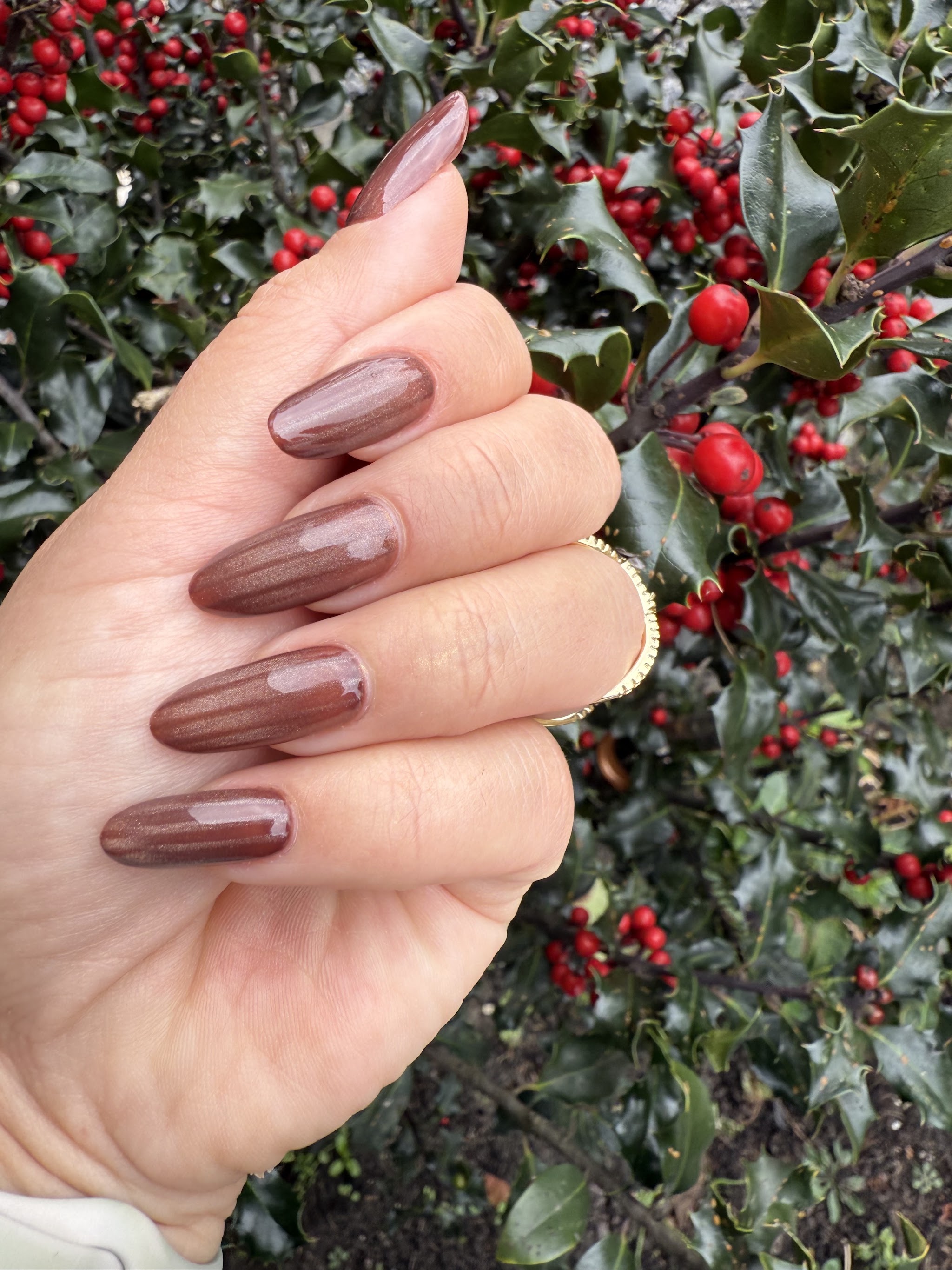 Chocoladebruine amandelnagels tussen hulsttakken
